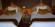 tigerland-safari-resort-2.jpg