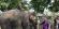 tigerland-safari-resort-4.jpg