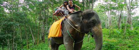 Honeymoon in Chitwan